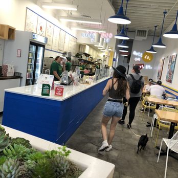 Pacific Counter - Inside - Sushi Bars Near Me - Saint Petersburg, Florida Pacific Counter - Inside - Sushi Bars Near Me - Saint Petersburg, Florida