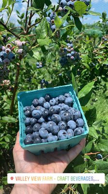 Valley View Farm by null