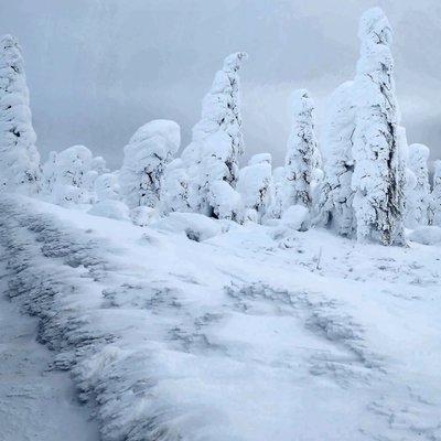 Northern Alaska Tour Company by null