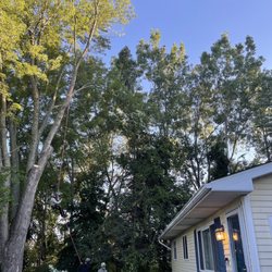 Rock Bottom Tree Service