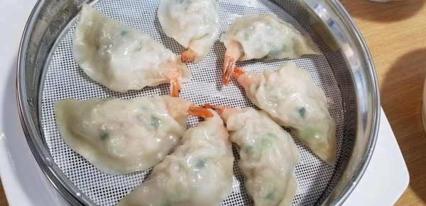 Mandu-Ya Korean Fusion Dumpling(inside Gogi on the Go) by null