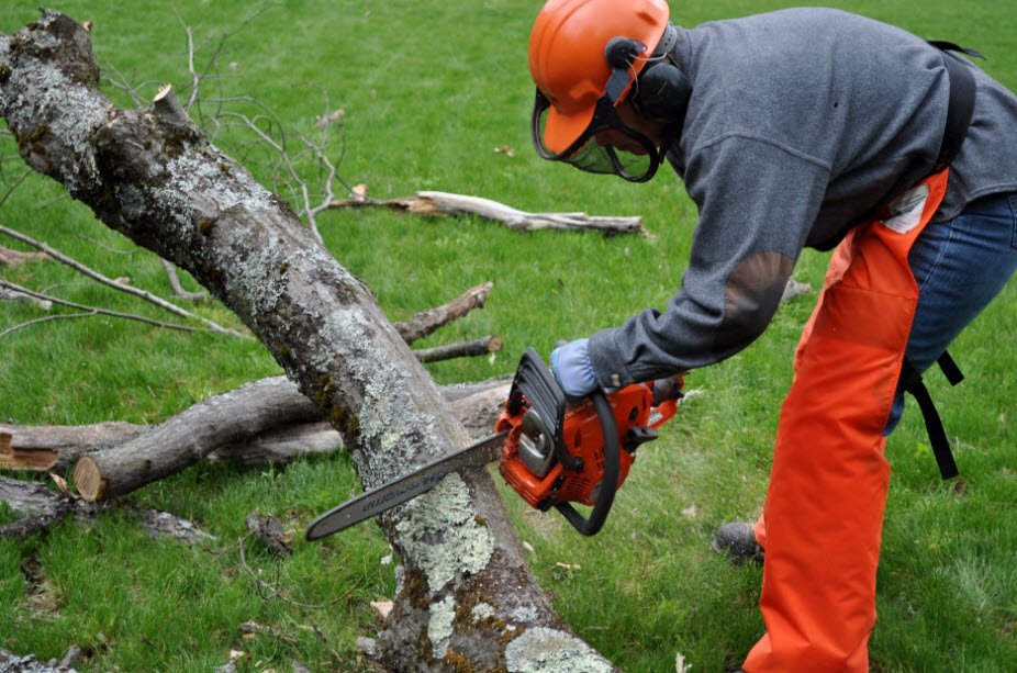 Forest Tree Service - tree service in Oklahoma City, OK