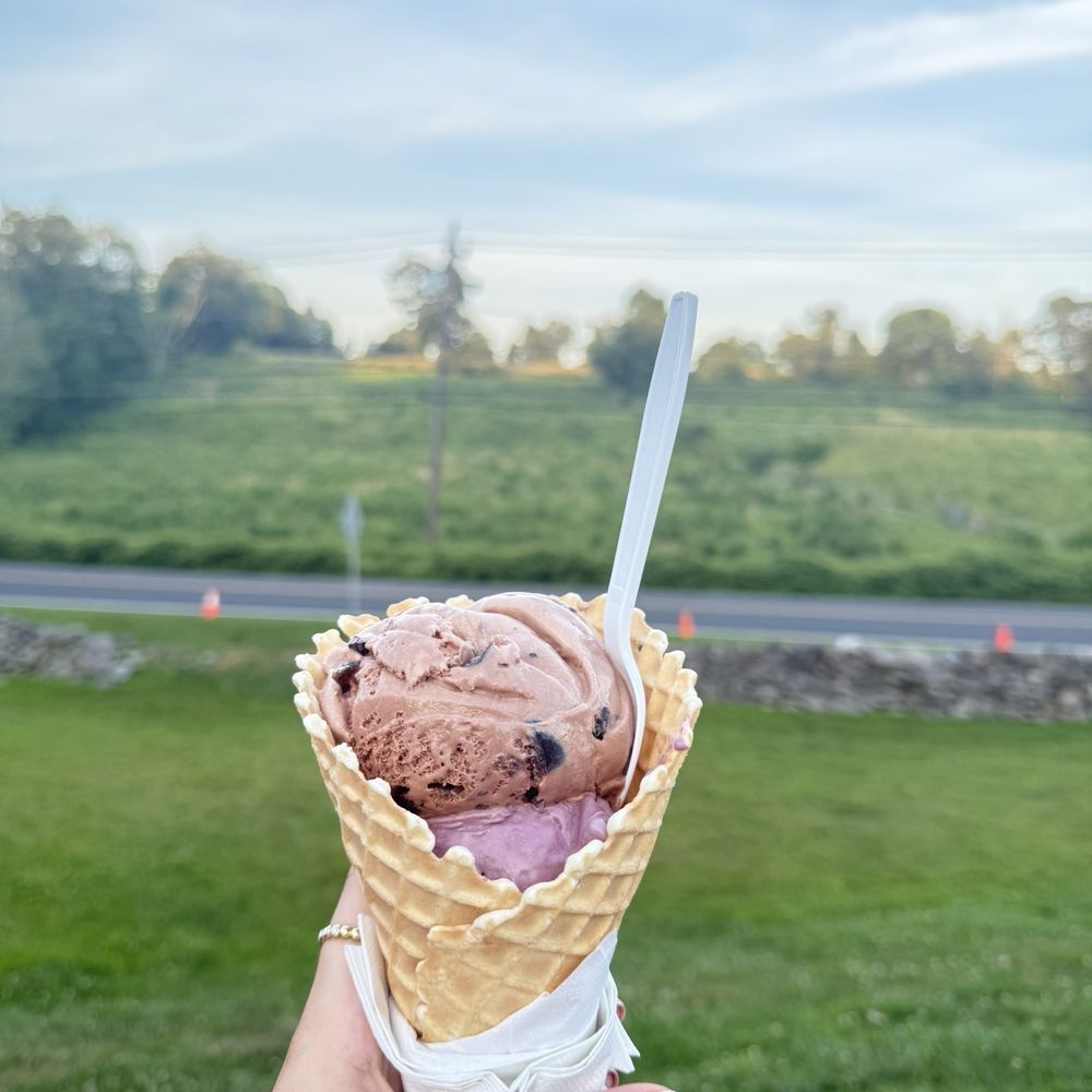 Bada Bing and Black Raspberry in a Waffle Cone