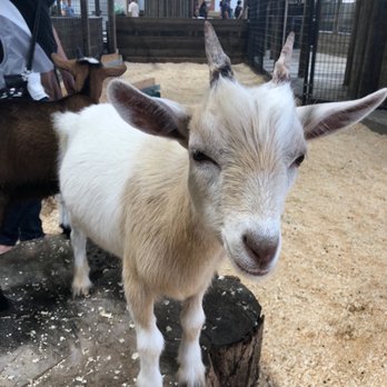 The Creature Conservancy - Community Service/Non-Profit Near Me - Ann Arbor, Michigan