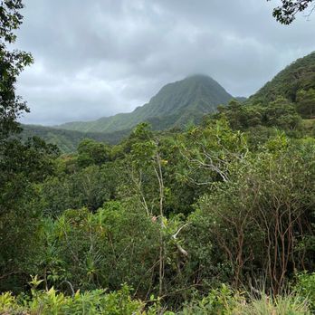 Kualoa Ranch - Tours Near Me - Kaneohe, Hawaii Kualoa Ranch - Tours Near Me - Kaneohe, Hawaii