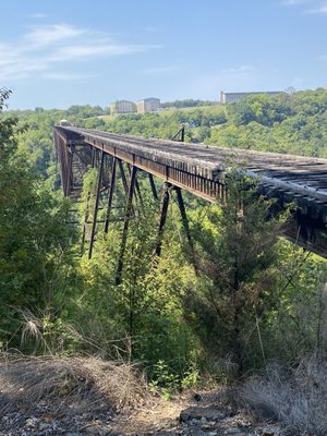 Bluegrass Scenic Railroad and Museum by null