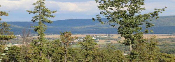 DIMON FUNERAL HOME & CREMATION SERVICE - Updated June 2026 - 11 Photos