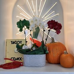 Mothers Tacos - Cute interior