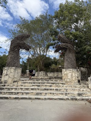 Cenote Tortuga by null