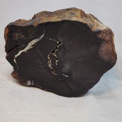 Red Stone Fossils and Minerals - Petrified Wood