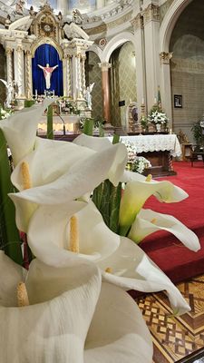 Five Wounds Portuguese National Parish by null