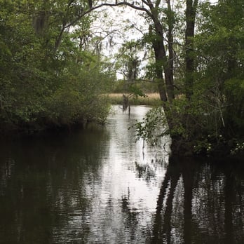 Brookgreen Gardens - Creek - Museums Near Me - Murrells Inlet, South Carolina