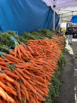Newark Farmers Market by null