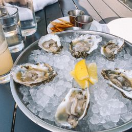 Oysters Oysters