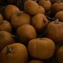 Community of Hope Pumpkin Patch