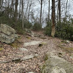 Mt. Minsi Trailhead
