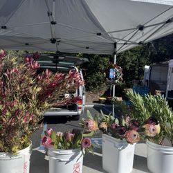 Aptos Farmers Market