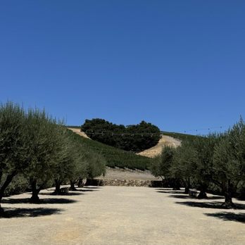 Niner Wine Estates - Niner Winery Paso Robles - Wine Tasting Room Near Me - Paso Robles, California Niner Wine Estates - Niner Winery Paso Robles - Wine Tasting Room Near Me - Paso Robles, California