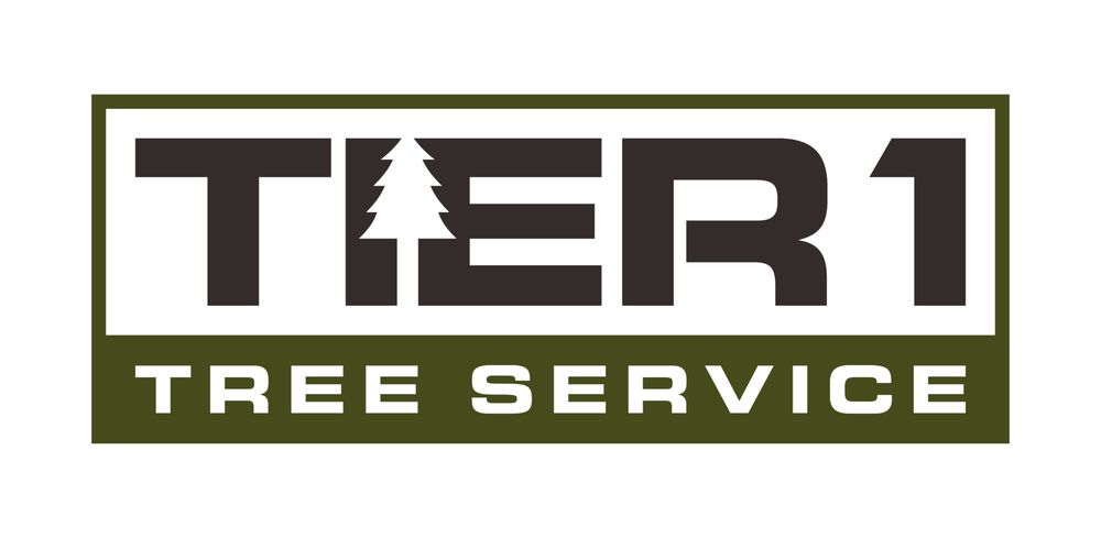 Tier 1 Tree Service - veterans service organization in Beaver Falls, PA