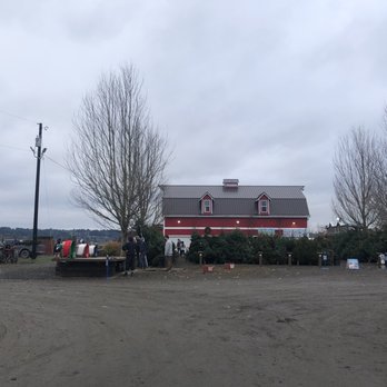 Stocker Farms - Stocker Farm - Christmas Trees Near Me - Snohomish, Washington Stocker Farms - Stocker Farm - Christmas Trees Near Me - Snohomish, Washington