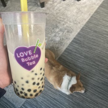 Love Bubble Tea - Bonus dog pic - Bubble Tea Near Me - Austin, Texas