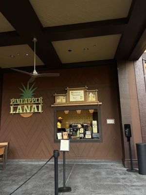 Pineapple Lanai by null