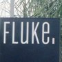 Photo of Fluke