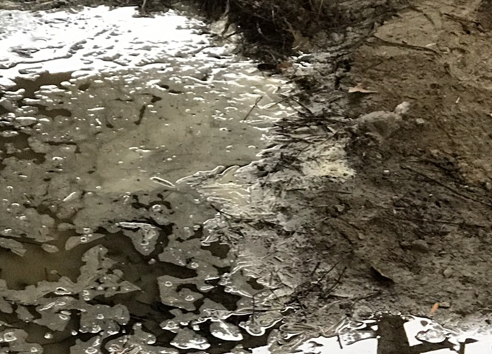 RAVENEL ASSOCIATES Updated September 2024 3730 Betsy Kerrison Pkwy