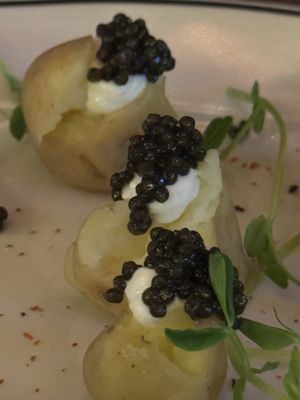 The Splendid by null