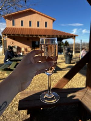 Zin Valle Vineyards by null