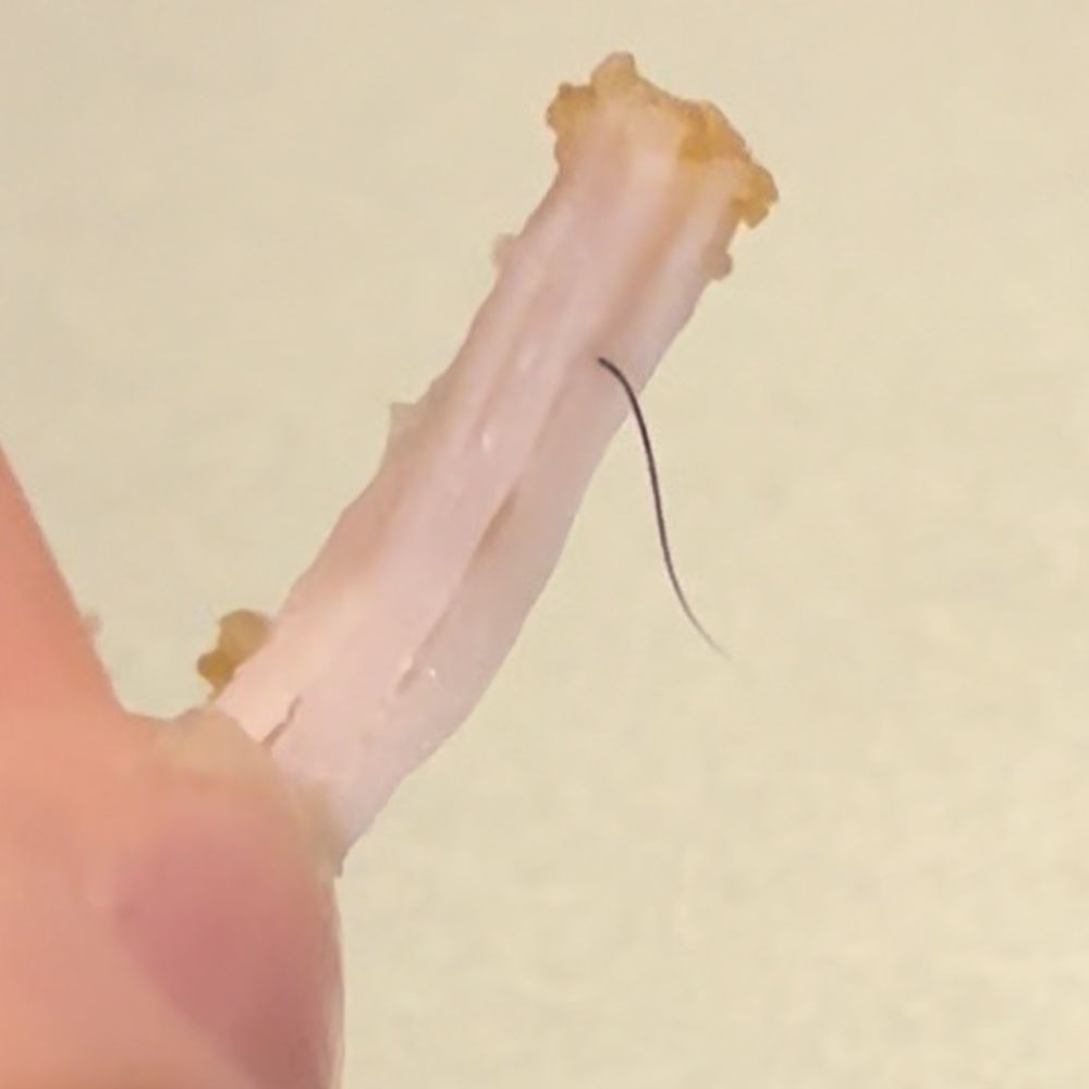 Chick-fil-A - A human hair inside the chicken - Fast Food Near Me - Fairview Heights, Illinois Chick-fil-A - A human hair inside the chicken - Fast Food Near Me - Fairview Heights, Illinois