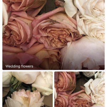 Native Poppy - Florists Near Me - San Diego, California