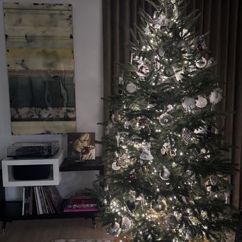 City Tree Delivery - Christmas Trees Near Me