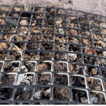 Peak Services - This was at the corner of the house absolutely gross. - Artificial Turf Near Me - Las Vegas, Nevada