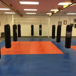 Martial Arts Institute - 14 hanging Heavy bags