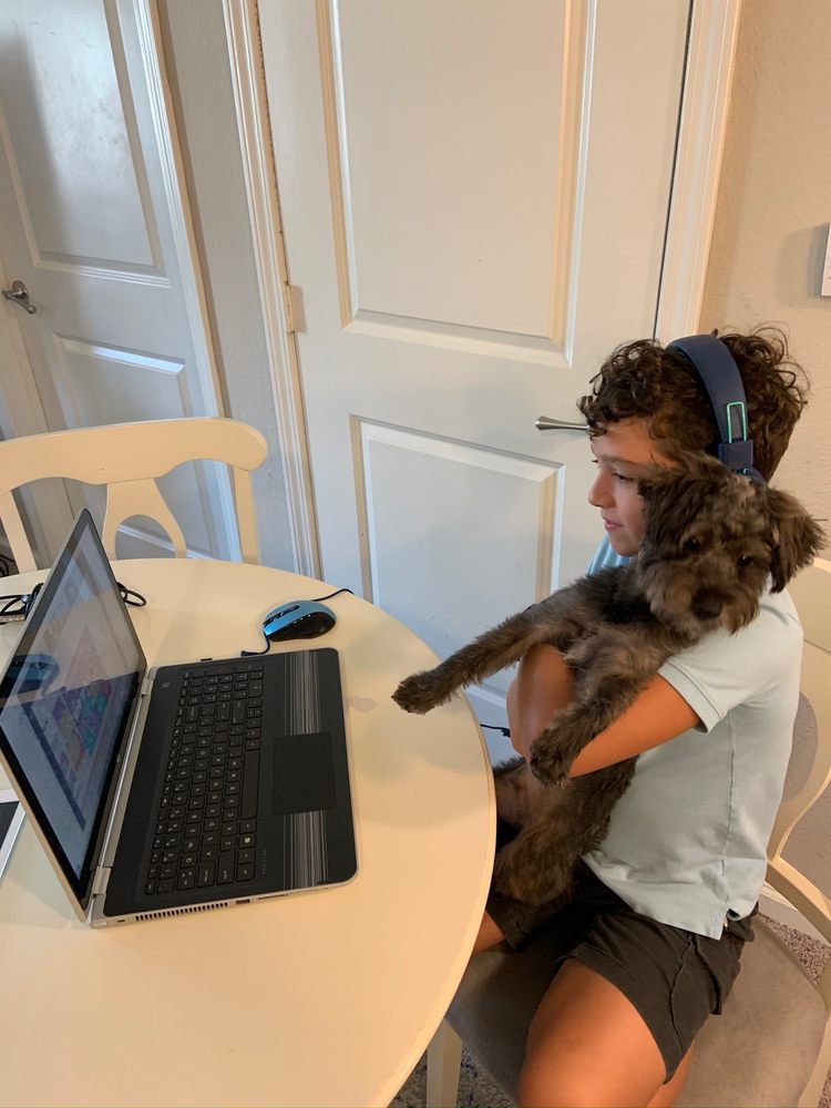 FANCY PAWS BOUTIQUE & PET STYLING Updated September 2024 15 Photos