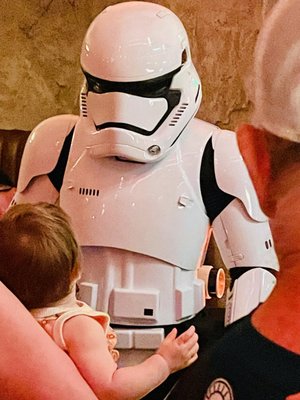 Oga's Cantina at the Walt Disney World Resort by null