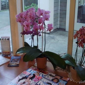 Kim's Natural Nails - Nail Salons Near Me - Pacifica, California Kim's Natural Nails - Nail Salons Near Me - Pacifica, California