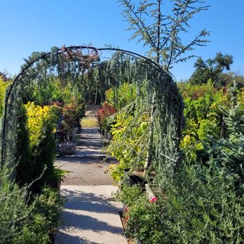 High Hand Nursery - I want this arbor. - Nurseries & Gardening Near Me - Loomis, California