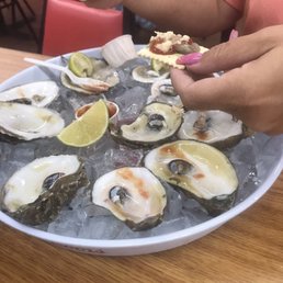Oysters on the Half Shell