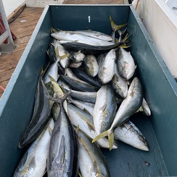 Sauerfish Charters - They catch fish! - Boat Charters Near Me - San Diego, California Sauerfish Charters - They catch fish! - Boat Charters Near Me - San Diego, California