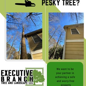 Executive Branch Tree Service - Tree Services Near Me - Jasper, Georgia Executive Branch Tree Service - Tree Services Near Me - Jasper, Georgia