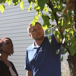 Green Arbor - We see it as essential to inform our customers about why we perform the services that we do.