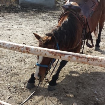 BROKEN BOW RANCH - Updated March 2026 - 45 Photos & 62 Reviews - 1755 E ...