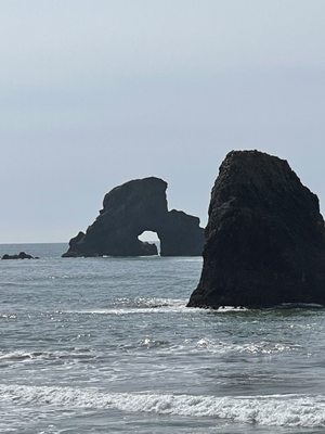 Ecola State Park by null