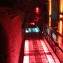 Photo of Arena Club