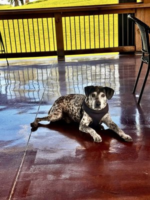 B.J. Reece Orchards by null