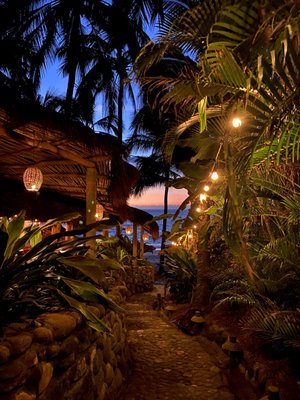 Hotel Playa Escondida by null