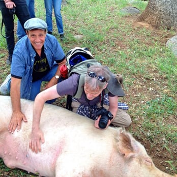Animal Place - Wilbur the pig is sooo friendly and loves his tummy rubbed. - Animal Shelters Near Me - Grass Valley, California Animal Place - Wilbur the pig is sooo friendly and loves his tummy rubbed. - Animal Shelters Near Me - Grass Valley, California