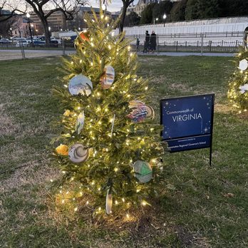 National Christmas Tree - Virginia's tree - Local Flavor Near Me - Washington, DC, District of Columbia National Christmas Tree - Virginia's tree - Local Flavor Near Me - Washington, DC, District of Columbia